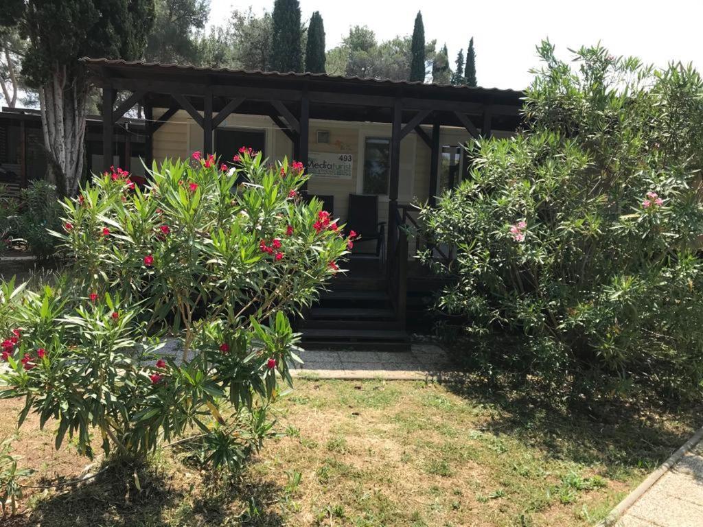 Camping Media Mobile Homes In Brioni Sunny Camping Pula Dış mekan fotoğraf